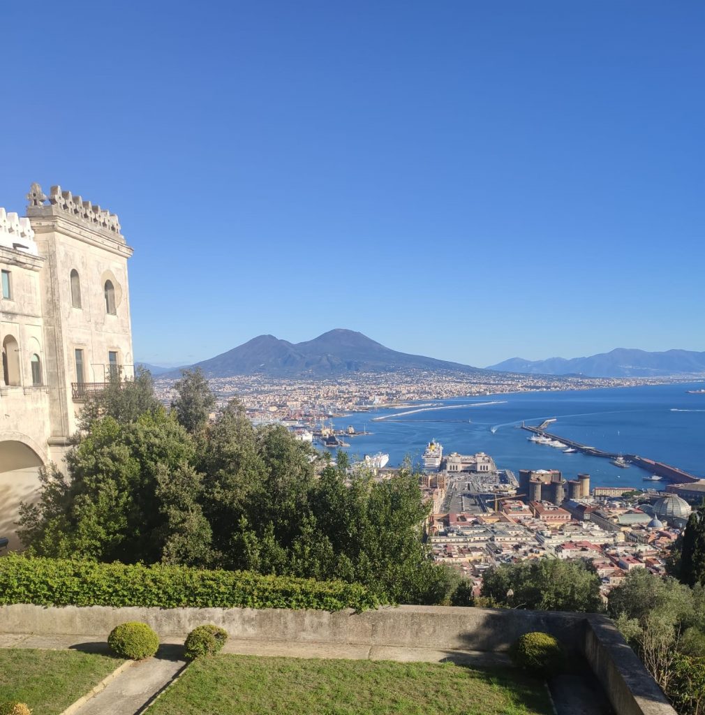 whatsapp image 2026 03 26 at 10.11.59 (1)