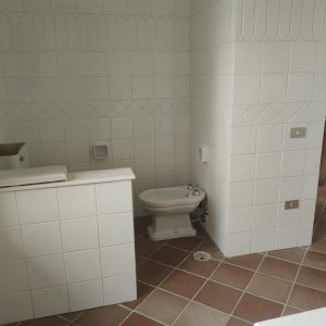 img 20260413 113711